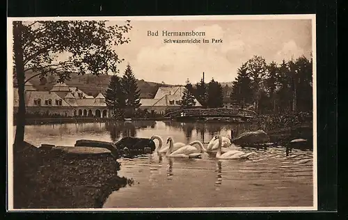 AK Bad Hermannsborn, Achwanenteiche im Park it kleiner Brücke