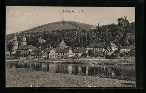 AK Miltenberg a. M., Blick vom Flussufer zur Kirche im Ort