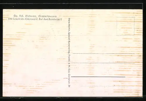 AK Lengfeld / Odenwald, Gemischtwarengeschäft Gg. Hch. Hofmann, Teilansicht