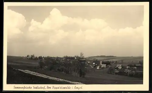 AK Sadisdorf / Erzgeb., Gesamtansicht
