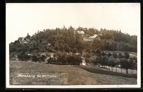 AK Dresden-Pillnitz, Blick auf den Borsberg