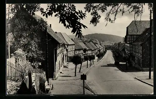 AK Güntersberge / Harz, Ortsansicht mit Wohnhäusern