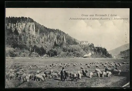 AK Herrenalb i. Schw., Falkensteinfelsen m. d. schönen Aussicht u. d. Schweizerwiese