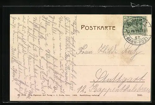 AK Bad Teinach, Ortsansicht mit Flusslauf