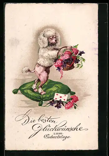 Künstler-AK Eine Pudeldame auf einem Kissen mit einem Blumenkörbchen, vermenschlichte Tiere
