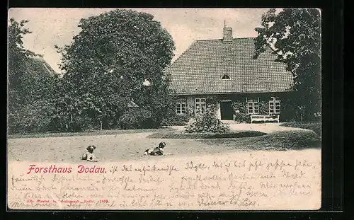 AK Dodau, Forsthaus mit Jagdhunden