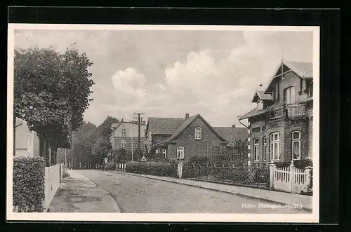AK Hohn /Schlesw.-Holst., Strassenpartie mit Villa