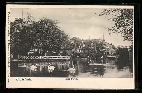 AK Buxtehude, Viver-Partie mit Schwänen