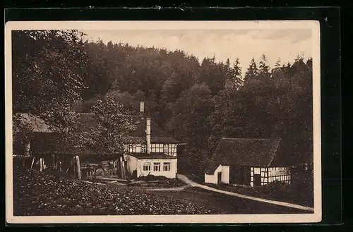 AK Eisenberg i. Thür., Gasthaus Froschmühle im Mühltal