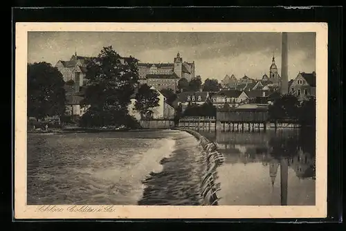 AK Colditz / Sa., Blick zum Schloss