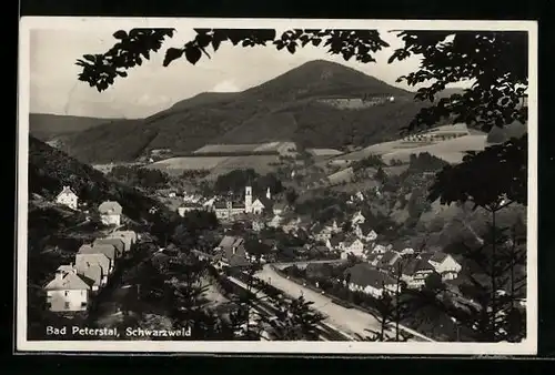 AK Bad Peterstal / Schwarzwald, Gesamtansicht