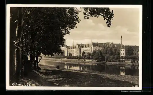 AK Grimma / Sa., Ortspartie und Flusspartie