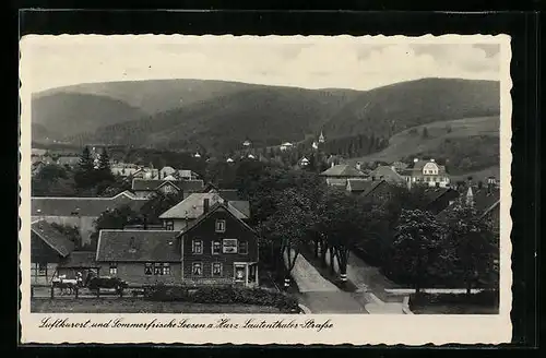 AK Seesen / Harz, Lautenthaler Strasse aus der Vogelschau