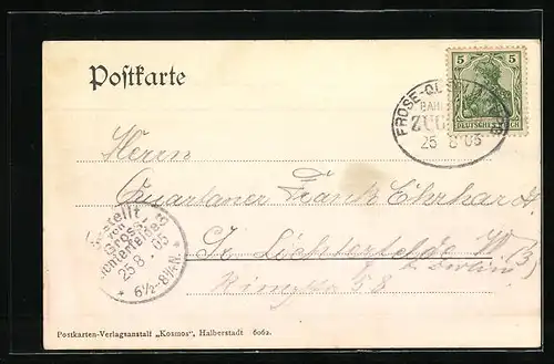 AK Gernrode / Harz, Totalansicht mit Stubenberg