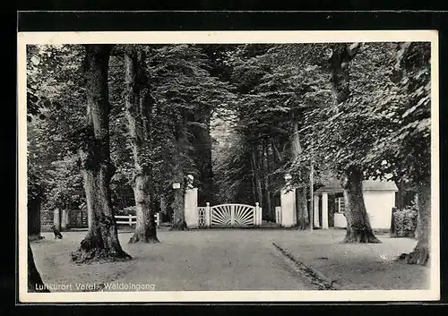 AK Varel / Oldbg., Waldeingang
