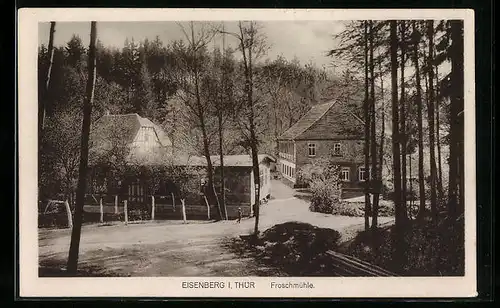 AK Eisenberg i. Thür., Gasthaus Froschmühle