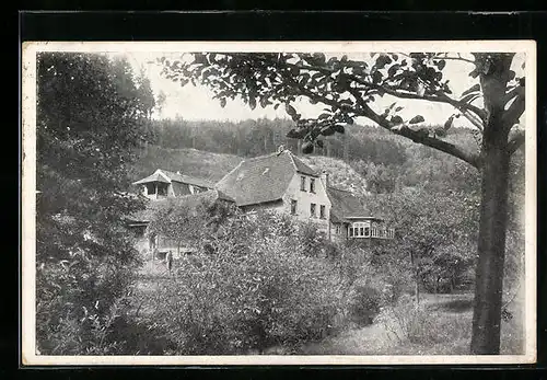 AK Eisenberg i. Thür., Gasthaus Pfarrmühle im Mühltal