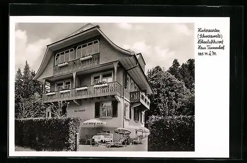 AK Hinterzarten / Schwarzwald, Hotel-Pension Haus Tannenhof