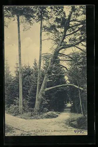 AK Schwartau, Mönchkamp