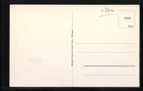 AK Donaueschingen, Ortsansicht aus der Ferne