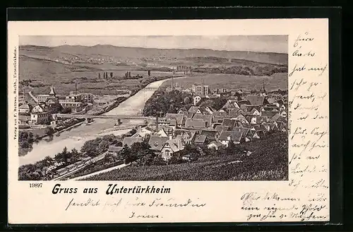 AK Untertürkheim, Totalansicht von einem Weinberg aus