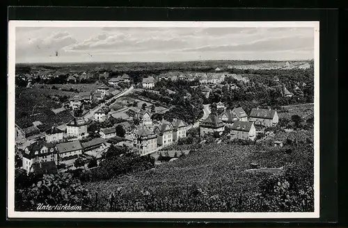 AK Untertürkheim, Gesamtansicht von einem Weinberg aus