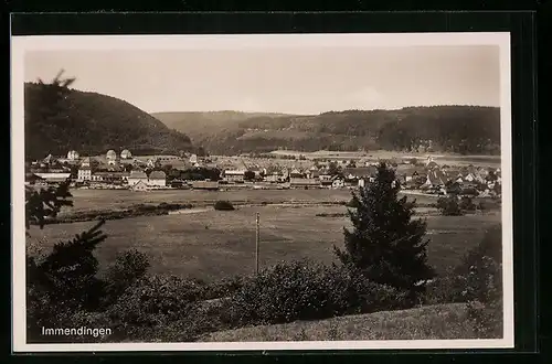 AK Immendingen, Totalansicht von einer Anhöhe aus
