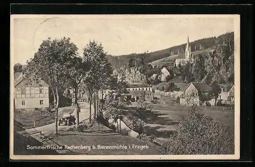 AK Rechenberg bei Bienenmühle /Erzgeb., Ortsansicht mit Landstrasse