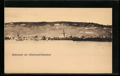 AK Rüdesheim / Rhein, Gesamtansicht mit Niederwald-Denkmal