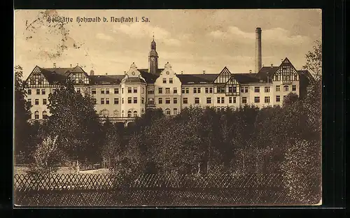 AK Neustadt i. Sa., Heilstätte Hohwald