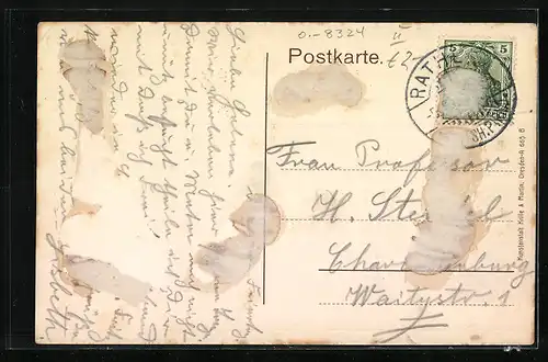 AK Rathen / Sächs. Schweiz, Gansfelsen und Amselgrund