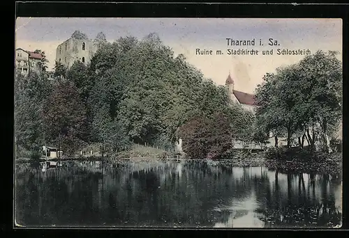 AK Tharand i. Sa., Ruine mit Stadtkirche und Schlossteich