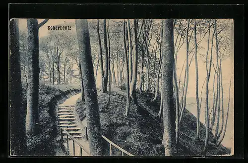 AK Scharbeutz, Waldidylle mit Treppenaufgang