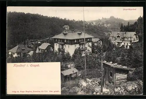 AK Kipsdorf i. Erzgeb., Blick auf Ober-Kipsdorf