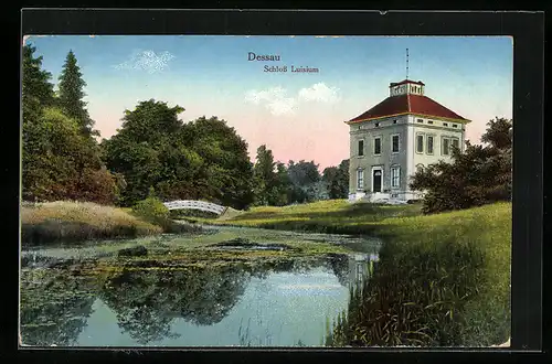 AK Dessau, Blick auf Schloss Luisium