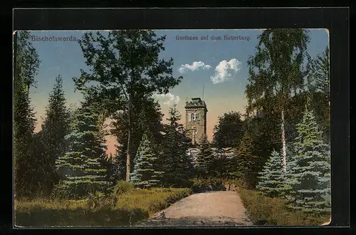 AK Bischofswerda, Gasthaus auf dem Butterberg