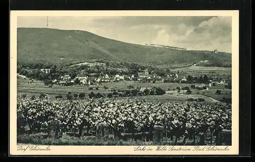 AK Gleisweiler, Gesamtansicht mit Sanatorium Bad Gleisweiler links im Walde