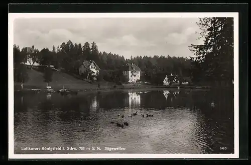 AK Königsfeld i. Schw., Idylle am Sägeweiher