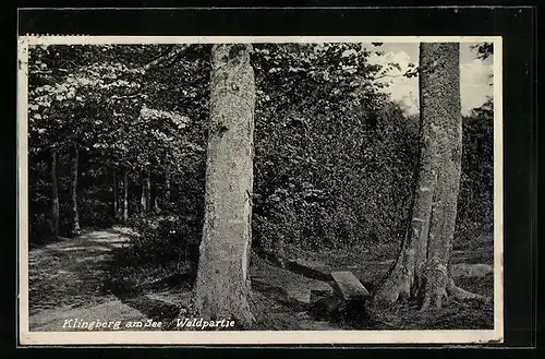 AK Gleschendorf-Klingberg, Waldpartie