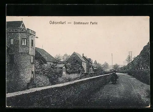 AK Ochsenfurt, Stadtmauer