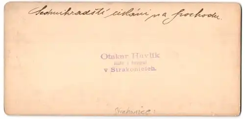 Stereo-Fotografie Otaka Havlik, Strakonicich, Ansicht Strakonice, Kriegsflüchtlinge rasten am Strassenrand