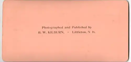 Stereo-Fotografie B. W., Kilburn, Littlelton, Ansicht London, Berufsverkehr vor der Bank of England, Pferdebahn