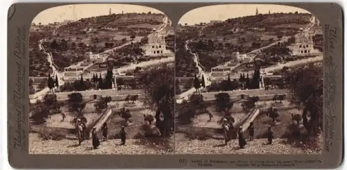Stereo-Fotografie Underwood & Underwood, New York, Ansicht Jerusalem, Blick auf den Garten Gethsemane am Ölberg