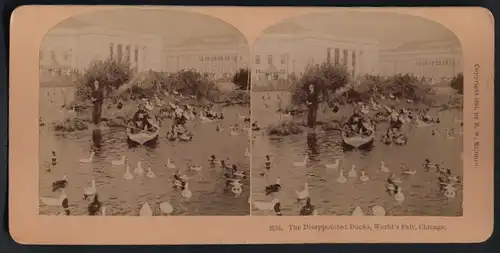 Stereo-Fotografie B. W. Kilburn, Littleton N.H., Ausstellung Worlds Fair Chicago 1893, Ententeich mit Ruderboot