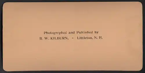 Stereo-Fotografie B. W. Kilburn, Littleton N.H., Ausstellung Worlds Fair Chicago 1893, Ententeich mit Ruderboot