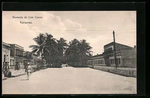 AK Veracruz, Alameda de Los Cocos