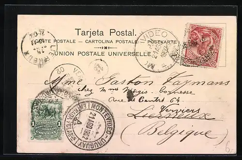 AK Montevideo, Vista general