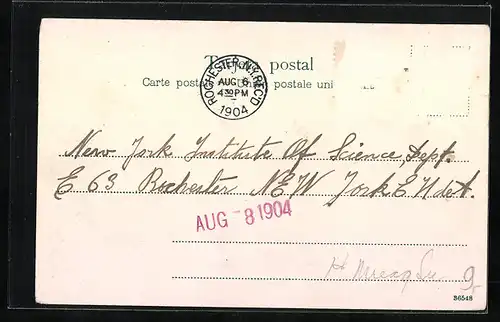 AK Buenos Aires, Avenida Alvear