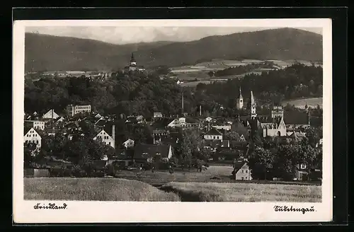 AK Friedland, Ortsansicht mit Kirche