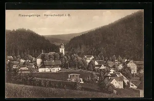 AK Harrachsdorf i. B., Ortsansicht mit Hotel Erlebach
